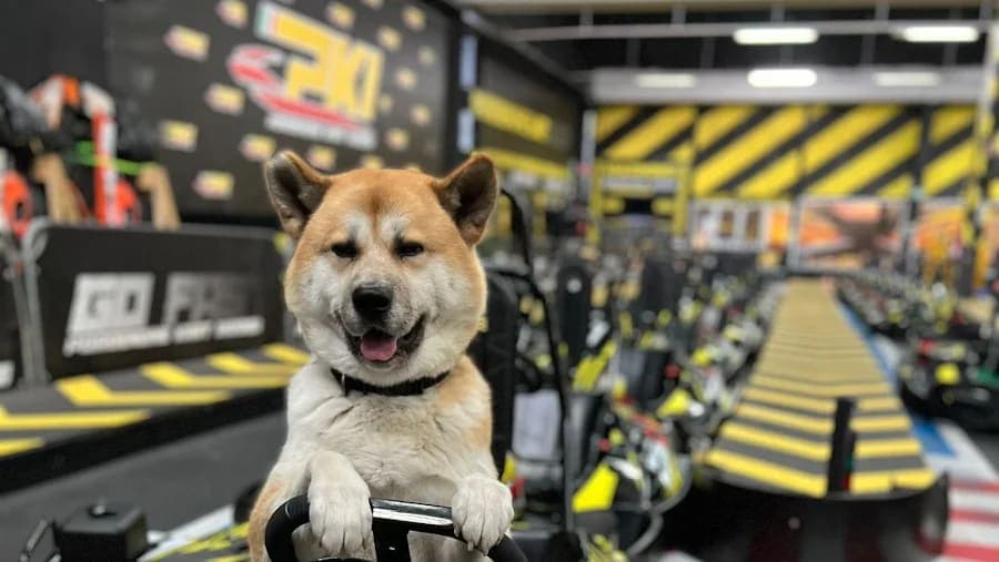 PKI Pordenone Kart Indoor