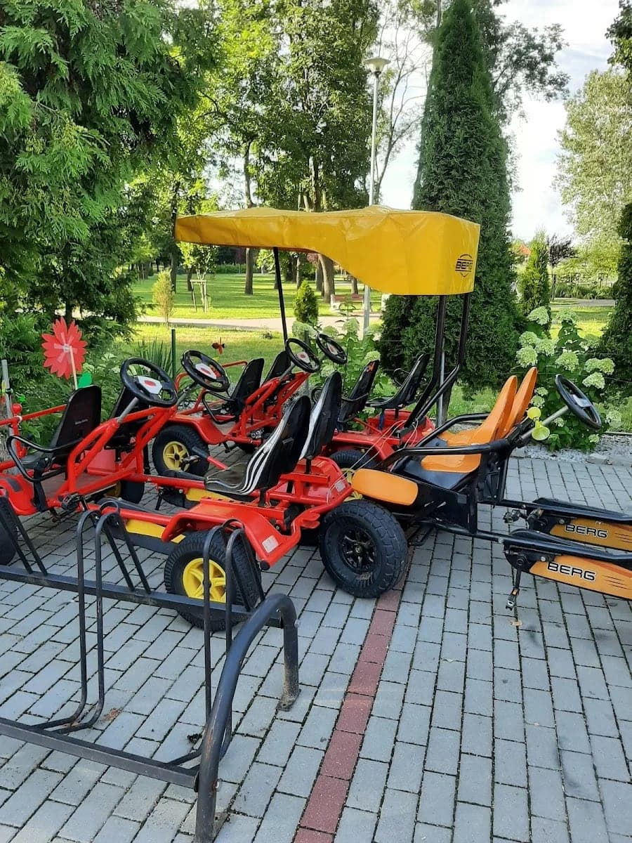 Gokarty Płońsk