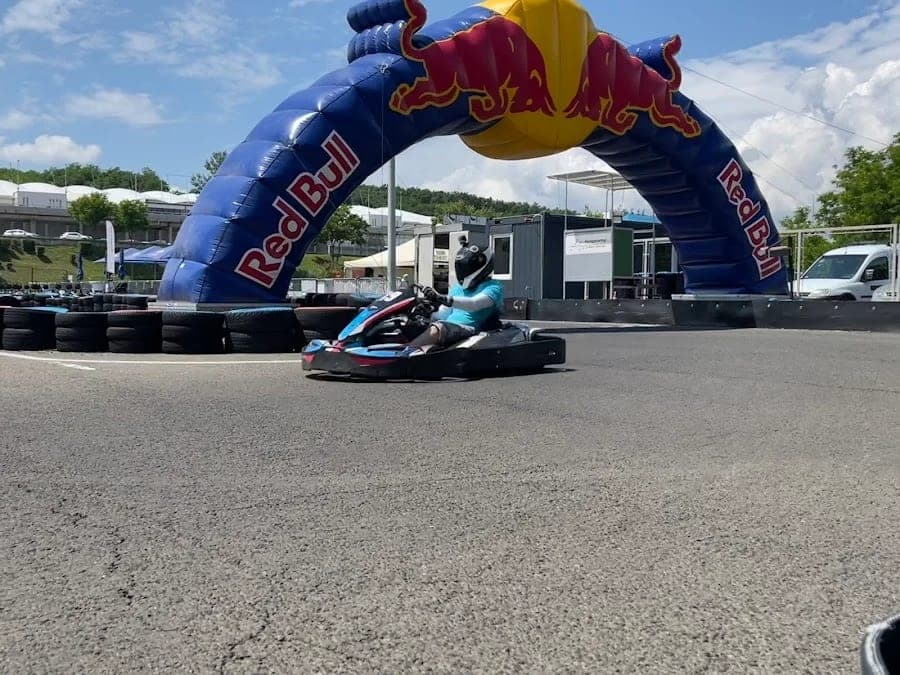 Gokartsuli