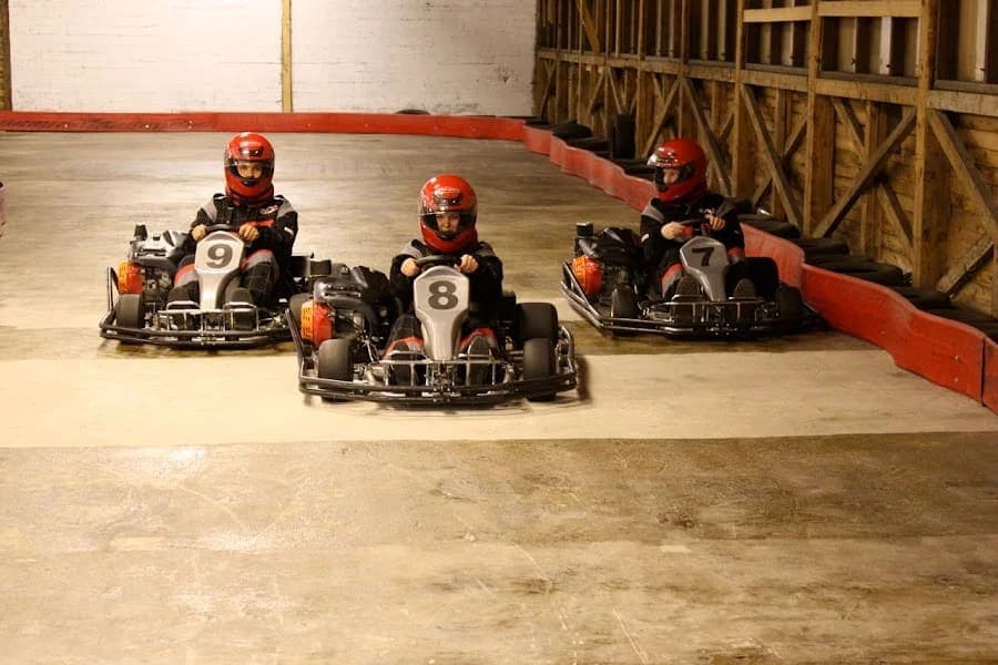 Delary Gokart