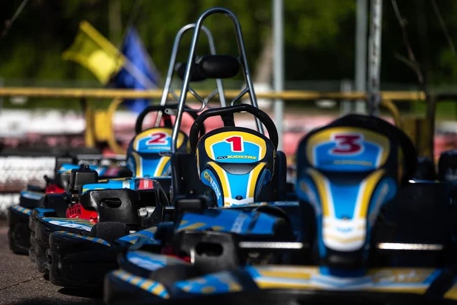 Gokartas
