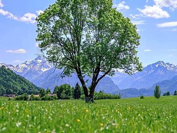 Bayern