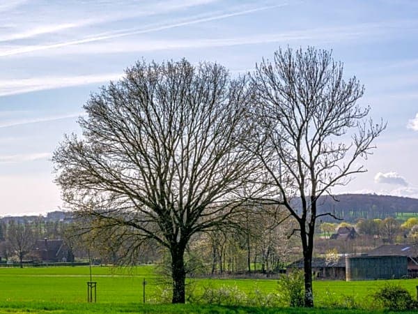 Nordrhein-Westfalen