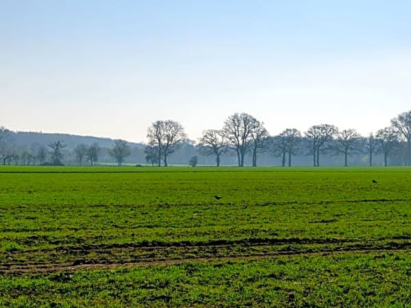 Niedersachsen
