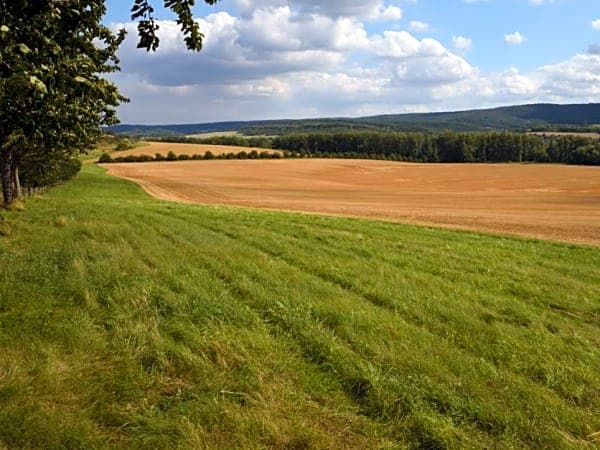 Sachsen-Anhalt